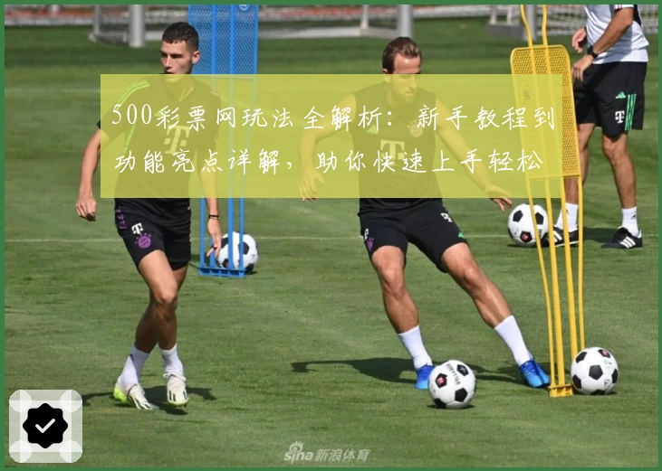 500彩票网玩法全解析：新手教程到功能亮点详解，助你快速上手轻松体验