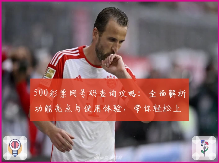 500彩票网号码查询攻略：全面解析功能亮点与使用体验，带你轻松上手